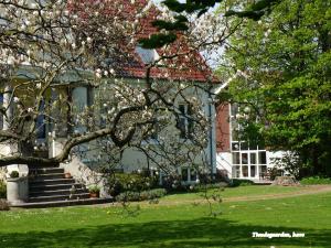 博雷Tiendegaarden Møns Klint的前面有一棵开花的树的房子
