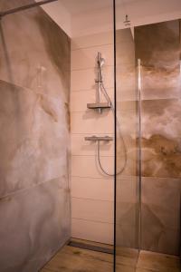 弗罗茨瓦夫Brassel Aparthotel的浴室里设有玻璃门淋浴