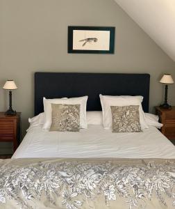 Le Minihic-sur-RanceLa Maison Les Mimosas的卧室配有一张带两个枕头的大白色床
