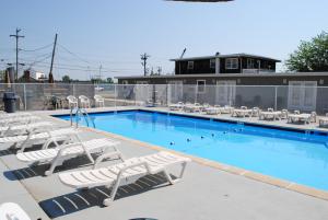 波因特普莱森特海滩岸点汽车旅馆 的一个带白色躺椅的游泳池和一个游泳池