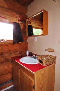 史密瑟斯Rocky Ridge Resort-BC的小木屋内带水槽的浴室