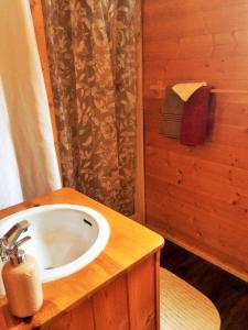 史密瑟斯Rocky Ridge Resort-BC的一间带水槽和淋浴的浴室