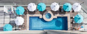 迪拜Edge Creekside Hotel的享有带遮阳伞的游泳池的顶部景致