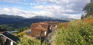 斯屈勒斯塔穆New and Exclusive Cottage in Voss with a great view的山地房子的背景