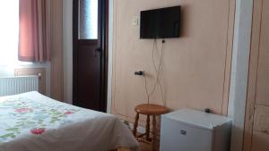 科普里夫什迪察博尔雅卡旅馆的卧室配有一张床,墙上配有电视。