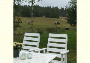 克里斯蒂娜港Lillstugan Elofstorp的田野里有两把白色的椅子和一张桌子,有马