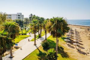 帕福斯因皮里尔海滩路易酒店的享有棕榈树海滩和大楼的景色