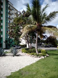 拉罗马纳玛吉之家公寓的一座建筑物旁的公园里的棕榈树