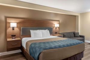 多伦多生态旅馆和套房的配有一张床和一把椅子的酒店客房
