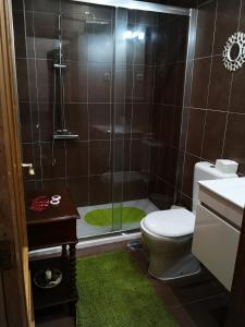 布拉干萨Casa do Javali的带淋浴、卫生间和绿色地毯的浴室