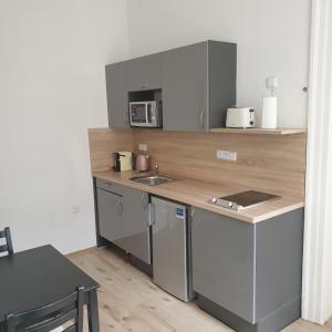 布拉格布拉格坎帕格雷格公寓的厨房配有带水槽和微波炉的台面