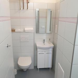 布拉格布拉格坎帕格雷格公寓的白色的浴室设有卫生间和水槽。