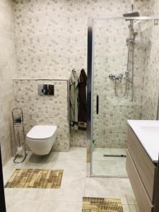 德布勒森Mira apartman的带淋浴、卫生间和盥洗盆的浴室