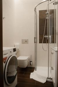 B&B Apartment-Lviv的一间浴室
