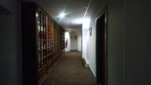 埃维昂莱班帕莱斯酒店的一条长长的走廊,上面有书架