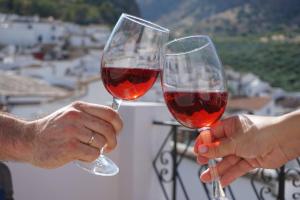 蒙特哈克Los Trigos, Casa Rural的两个人拿着一杯红葡萄酒