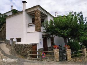 布维翁Casa Alpujarreña Fina Número 27的前面有一棵树的白色房子