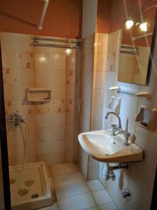 阿吉奥斯伊欧尼斯卡捷琳娜公寓的一间带水槽和淋浴的浴室