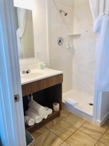 布兰丁Blue Sage Inn & Suites的一间带水槽和淋浴的浴室