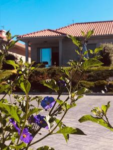 VilanovaCasa con jardín al lado de Playa Hío的紫色花朵在房子前的植物