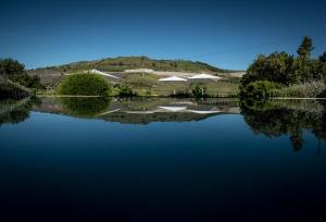 比索达雷加Quinta do Vallado - Douro Wine Hotel的享有树木和房屋的湖泊美景。