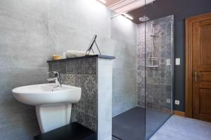 拉罗什-阿登Le Marronnier的一间带水槽和淋浴的浴室