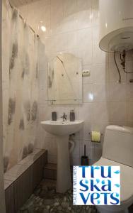 特鲁斯卡韦茨Сімейний відпочинок的一间带水槽、卫生间和镜子的浴室