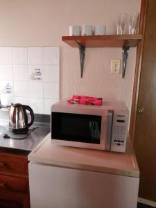 特玛斯德戴曼POSADA SANTA CECILIA的厨房里冰箱上面的微波炉