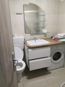 克拉尼斯卡戈拉Apartma Alja的浴室配有卫生间、盥洗盆和洗衣机。