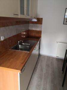 克拉尼斯卡戈拉Apartma Alja的厨房配有水槽和木制台面