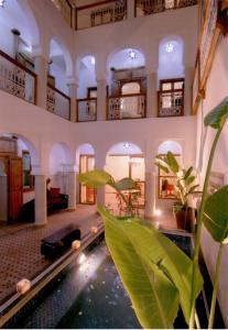 马拉喀什查理玛摩洛哥传统庭院住宅的一间有植物的游泳池的房间