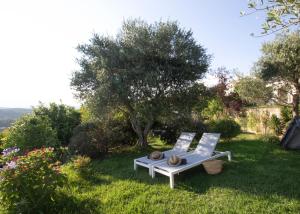 赫罗纳Villa Montjuic Girona的草地上的两把椅子和一张桌子