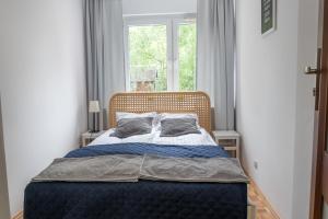 托伦Nest Comfort Toruń的卧室内的一张床位,带窗户