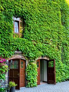卡托维兹Aparthotel Hornigold "W Zielonej Kamienicy"的两扇门,一座绿色常春藤覆盖的建筑