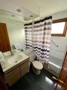 柴滕叶儿乔恩拉巴塔哥尼亚酒店的一间带水槽、卫生间和淋浴的浴室