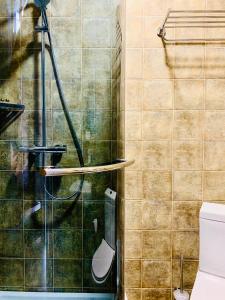 布克维Hotel Monysto的带淋浴和卫生间的浴室