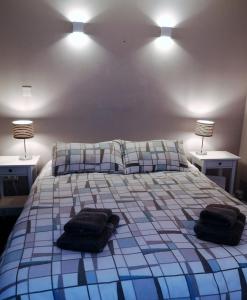 约尔Youghal的一间卧室配有一张带两个枕头和两个灯的床。