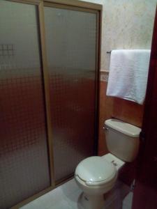 埃尔富埃尔特Hotel Santa Elena的一间带卫生间和玻璃淋浴间的浴室