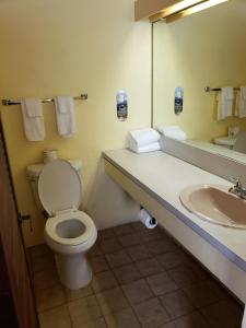 夏洛特阿马利亚加里昂豪斯酒店的一间带卫生间、水槽和镜子的浴室