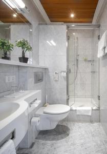 劳恩贝格文泽霍夫酒店的带淋浴、卫生间和盥洗盆的浴室