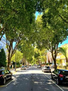 波尔图Oporto Yellow Villas的一条树木成荫的街道上,街上有汽车停放