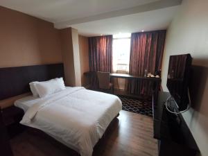 拿笃Hotel De Leon II的酒店客房设有一张床、一张书桌和窗户。
