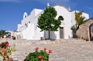 滨海波利尼亚诺Masseria Del Crocifisso的前面有红花的白色教堂