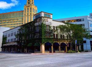 迈阿密圣米迦勒酒店的城市街道上常有常春藤的建筑