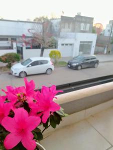 圣多美Departamento Santo Tome centrico的一堆粉红色的花在有车的树 ⁇ 上