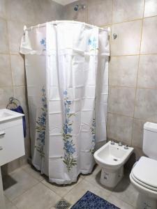 圣多美Departamento Santo Tome centrico的带淋浴帘和卫生间的浴室