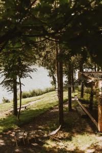 Sveti Jurij ob ŠčavniciFalkensteiner Premium Camping Lake Blagus的一群树木和长凳在水体前