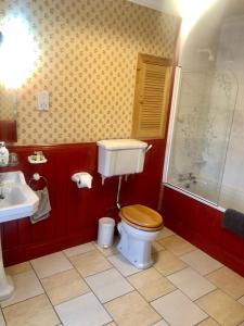 KillyleaghDufferin Coaching Inn的浴室配有卫生间、盥洗盆和淋浴。