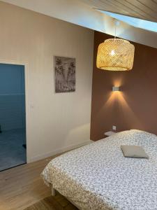 绍莱Logement rénové et moderne au Sacré Coeur Cholet的一间卧室配有床和灯具