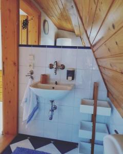 OmšenieChata Baračka的小型客房内设有带水槽的浴室